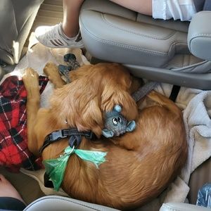 Meet your Posher, Hailey